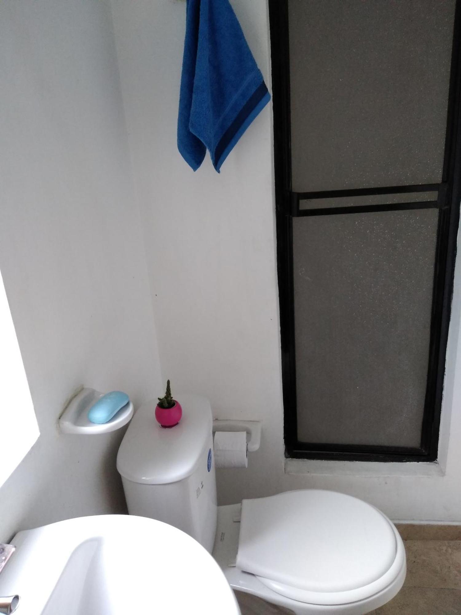 בוגוטה Hostal Norma101 מראה חיצוני תמונה